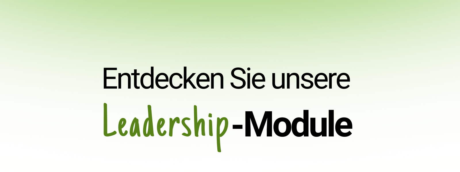 bze_header_leadership_akademie_Module