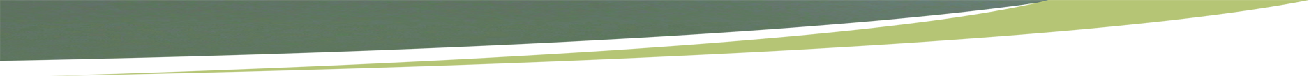 trenner-oben-leadership-akademie-small